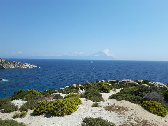 Οικόπεδο 500 τ.μ. για πώληση, Χαλκιδική, Τορώνη