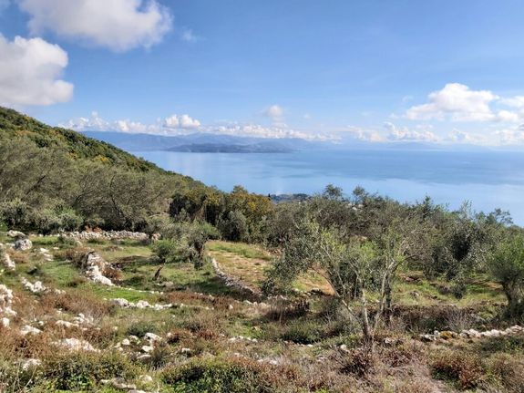 Οικόπεδο 9.500 τ.μ. για πώληση, Ν. Κέρκυρας, Κέρκυρα