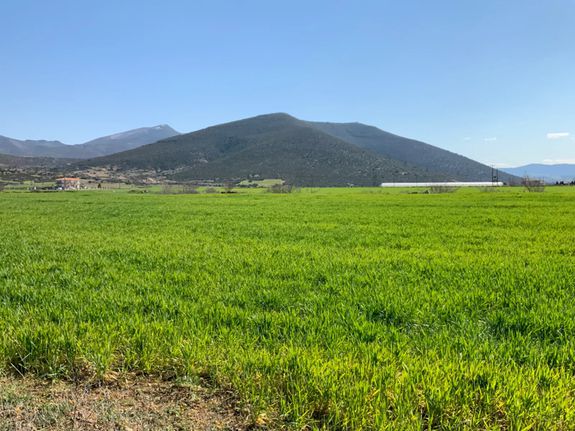 Οικόπεδο 8.730 τ.μ. για πώληση, Θεσσαλονίκη - Περιφ/Κοί Δήμοι, Θέρμη