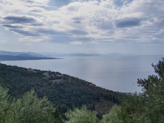 Οικόπεδο 18.000 τ.μ. για πώληση, Ν. Κέρκυρας, Κέρκυρα