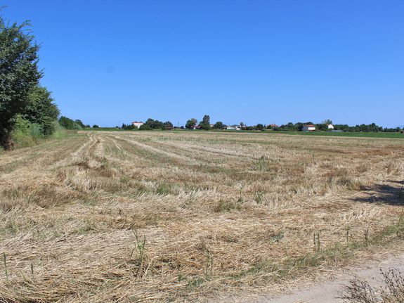 Οικόπεδο 10.000 τ.μ. για πώληση, Ν. Πιερίας, Παραλία