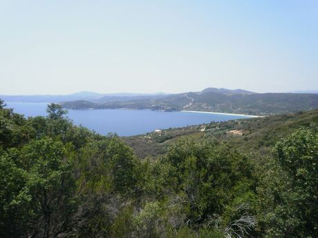 Οικόπεδο 6.070 τ.μ. για πώληση