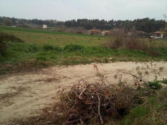 Land plot 5.100 sqm for sale, Chalkidiki, Kassandra