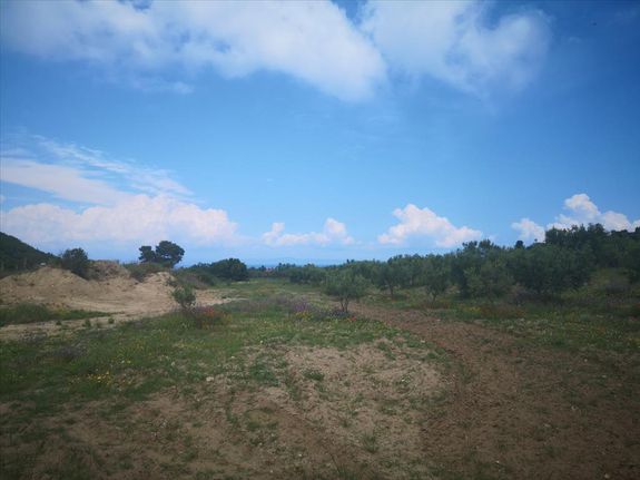 Land plot 18.500 sqm for sale, Chalkidiki, Pallini