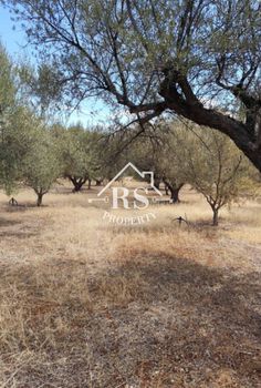 Parcel 18.540 sqm for sale