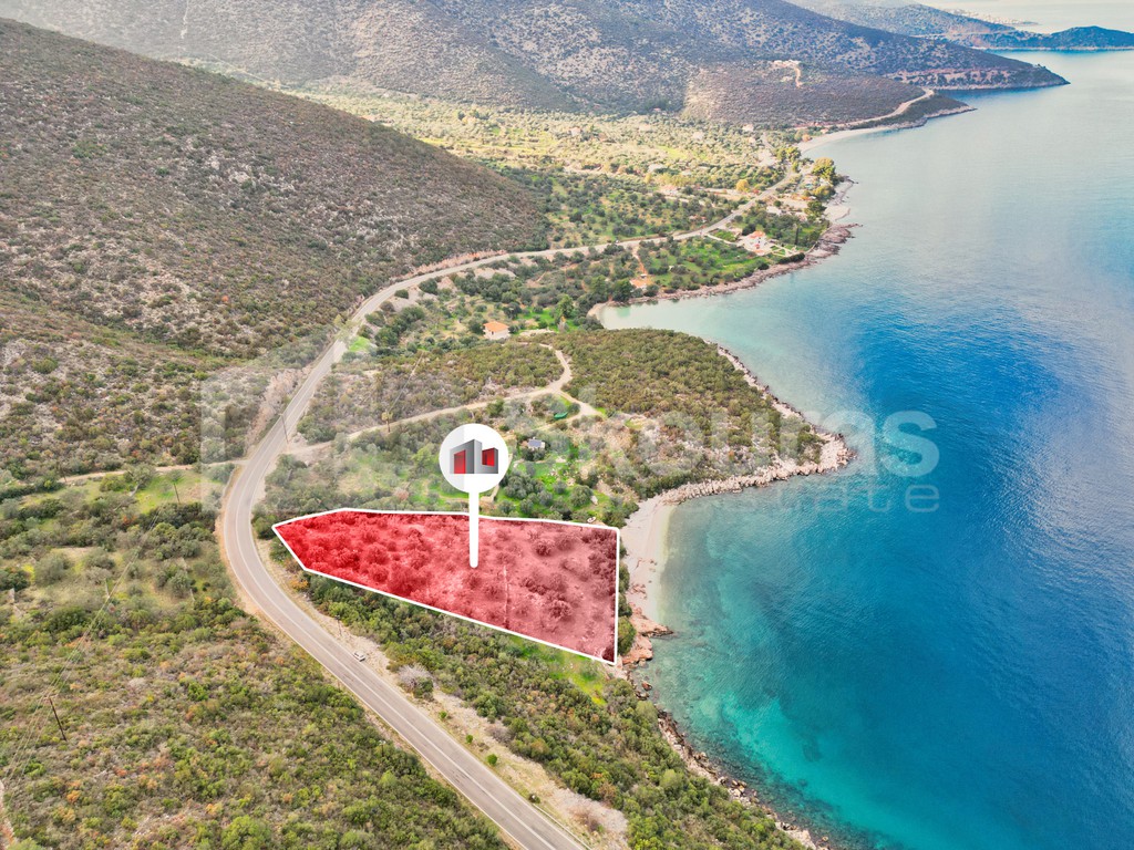Αγροτεμάχια 6.288 τ.μ. προς πώληση, Κρυονέρι Απόλλωνα
