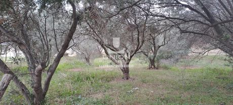 Land plot 2.894sqm for sale-Kalivia Thorikou » Lagonisi