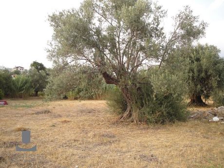 Land plot 415sqm for sale-Kamatero » Tsopa - Soulioti
