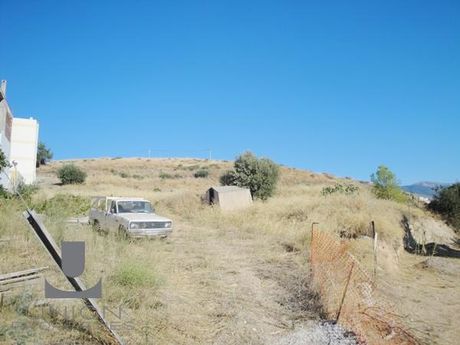Οικόπεδο 7.000 τ.μ. για πώληση