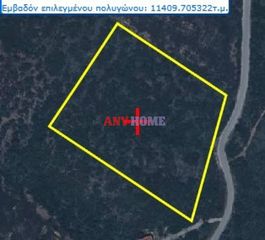 Αγροτεμάχια 11.436 τ.μ. για πώληση