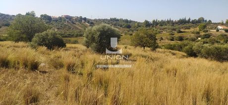 Land plot 4.200sqm for sale-Koropi » Kitsi