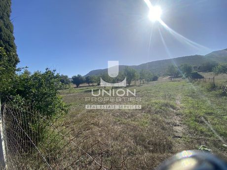 Land plot 5.606,9sqm for sale-Palaia Fokaia » Κέντρο