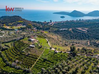 Οικόπεδο 4.109,84 τ.μ. για πώληση, Αργολίδα, Ασίνη-thumb-11