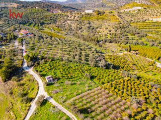 Οικόπεδο 4.109,84 τ.μ. για πώληση, Αργολίδα, Ασίνη-thumb-15
