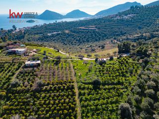 Οικόπεδο 4.109,84 τ.μ. για πώληση, Αργολίδα, Ασίνη-thumb-1