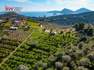 Οικόπεδο 4.109,84 τ.μ. για πώληση, Αργολίδα, Ασίνη-thumb-5