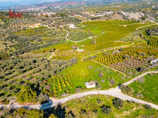 Οικόπεδο 4.109,84 τ.μ. για πώληση, Αργολίδα, Ασίνη-thumb-24