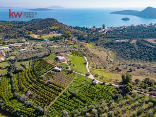 Οικόπεδο 4.040,54 τ.μ. για πώληση, Αργολίδα, Ασίνη-thumb-4