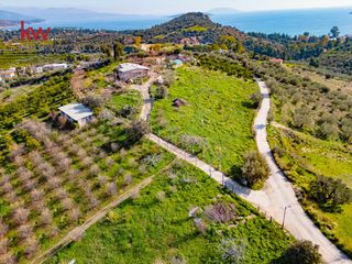 Οικόπεδο 4.040,54 τ.μ. για πώληση, Αργολίδα, Ασίνη-thumb-17