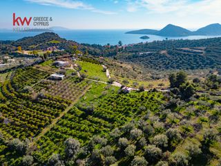 Οικόπεδο 4.040,54 τ.μ. για πώληση, Αργολίδα, Ασίνη-thumb-14