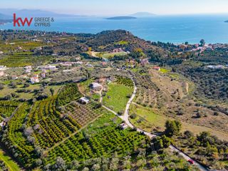 Οικόπεδο 4.040,54 τ.μ. για πώληση, Αργολίδα, Ασίνη-thumb-2