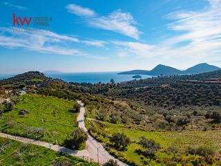 Οικόπεδο 4.040,54 τ.μ. για πώληση, Αργολίδα, Ασίνη-thumb-8
