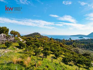 Οικόπεδο 4.040,54 τ.μ. για πώληση, Αργολίδα, Ασίνη-thumb-6