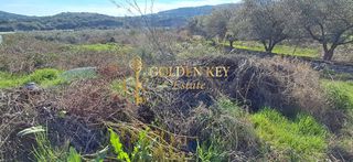 Οικόπεδο 439 τ.μ. για πώληση, Ν. Καβάλας, Ελευθερές-thumb-4
