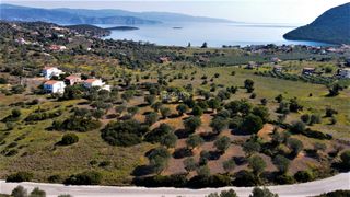 Οικόπεδο 20.046 τ.μ. για πώληση, Αργολίδα, Ερμιόνη-thumb-11
