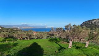 Οικόπεδο 20.046 τ.μ. για πώληση, Αργολίδα, Ερμιόνη-thumb-5
