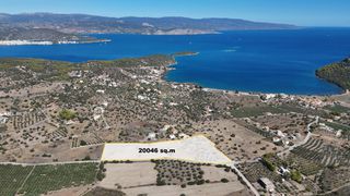 Οικόπεδο 20.046 τ.μ. για πώληση