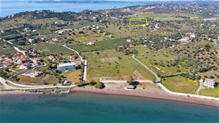 Οικόπεδο 20.046 τ.μ. για πώληση, Αργολίδα, Ερμιόνη-thumb-8