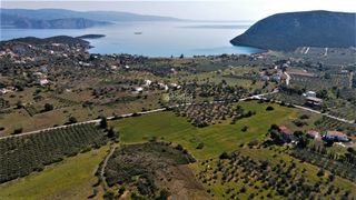 Οικόπεδο 20.046 τ.μ. για πώληση, Αργολίδα, Ερμιόνη-thumb-16