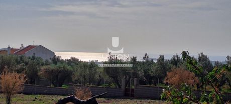 Land plot 1.000sqm for sale-Kalivia Thorikou » Lagonisi