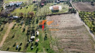 Αγροτεμάχια 1.050 τ.μ. για πώληση
