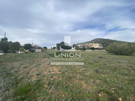 Οικόπεδο 8.101,75 τ.μ. για πώληση