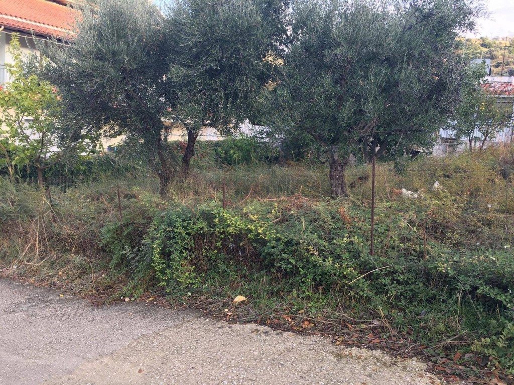 Οικόπεδο 410 τ.μ. προς πώληση, Ζαβλάνι
