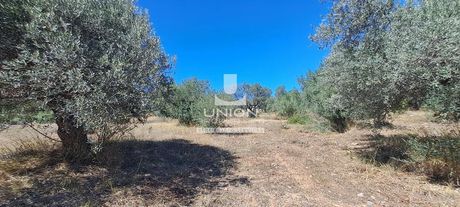 Οικόπεδο 8.354 τ.μ. για πώληση