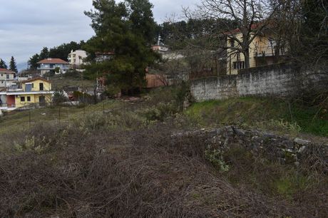 Land plot 482sqm for sale-Ioannina