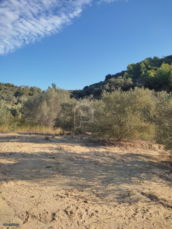 Αγροτεμάχια 6.000 τ.μ. προς πώληση, Αρχαία Πίσα