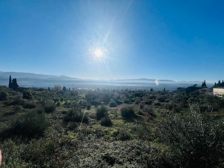 Οικόπεδο 2.508 τ.μ. για πώληση