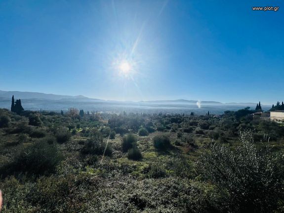 Οικόπεδο 2.508 τ.μ. για πώληση, Ν. Κέρκυρας, Κέρκυρα