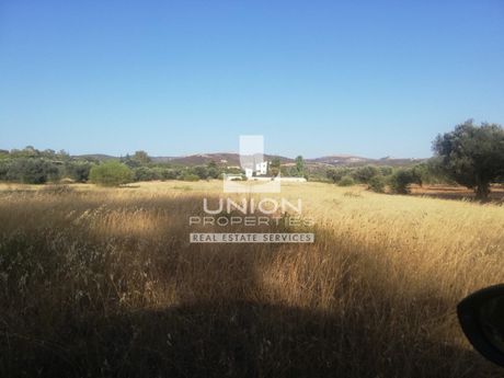 Land plot 9.400sqm for sale-Palaia Fokaia » Κέντρο