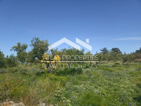 Οικόπεδο 4.451 τ.μ. για πώληση