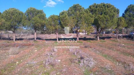 Land plot 4.350sqm for sale-Koropi » Agia Marina