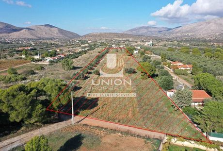 Οικόπεδο 23.300 τ.μ. για πώληση