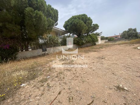 Οικόπεδο 1.000 τ.μ. για πώληση