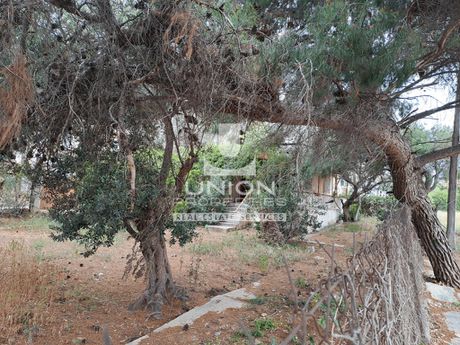 Land plot 505sqm for sale-Vari - Varkiza » Miladeza