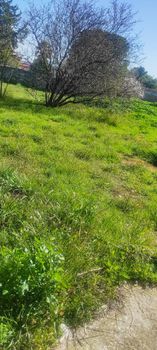 Land plot 2.240sqm for sale-Spata » Center