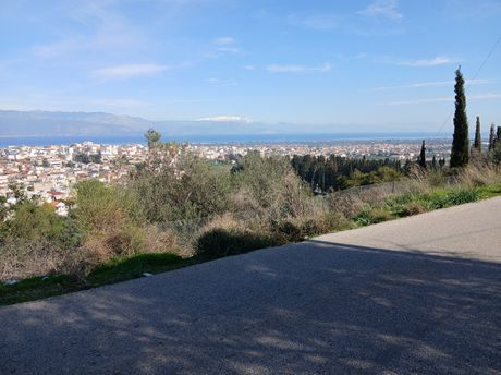 Οικόπεδο 3.000 τ.μ. για πώληση